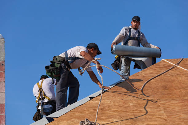 Best Commercial Roof Installation  in Gages Lake, IL
